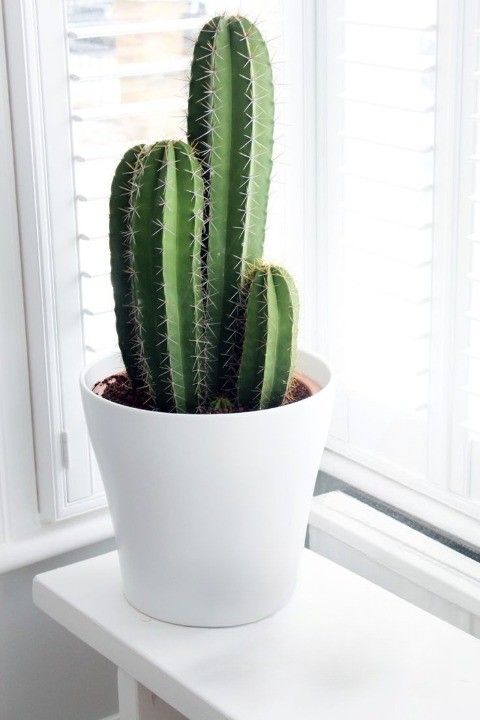 1734352a5184a03b8c636a89cfedb384