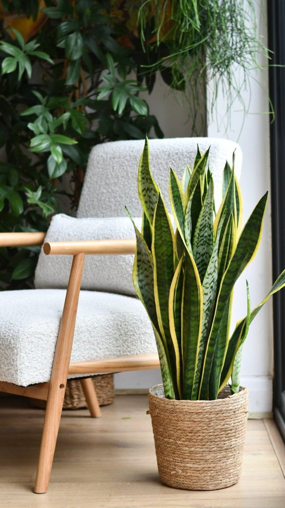 7e6df90e7fd85911e982ab485550bbb0