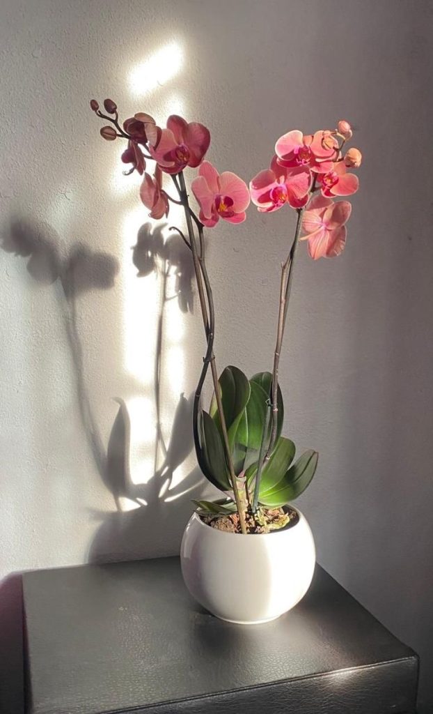 ce3ffbf631c7fe8aa0e6018e32188b8f