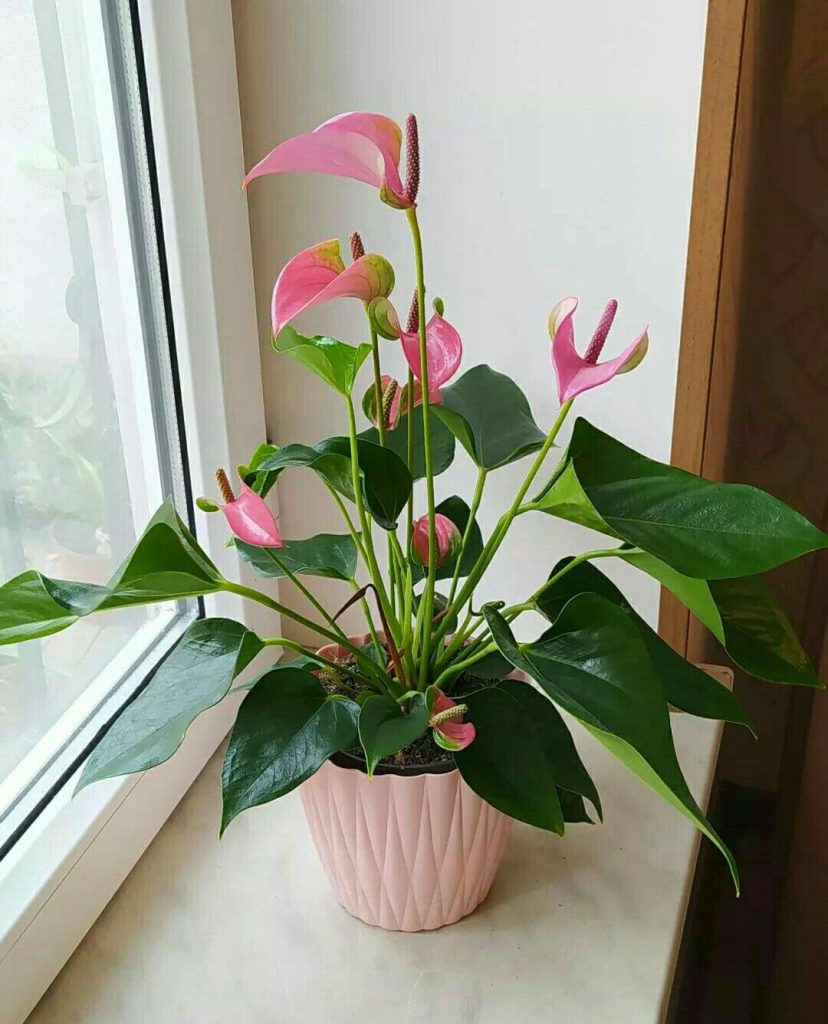 f147e50196c43b34882bb052130fdc59